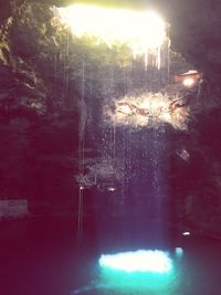 Reflection of trees on water in forest