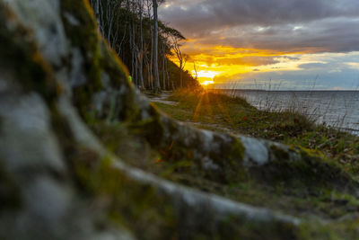 Surface level of land against sky during sunset