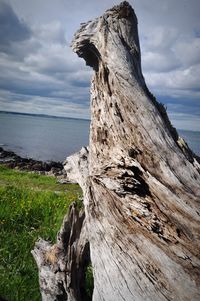 Close-up of cliff by sea against sky