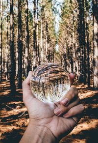 Close-up of hand holding crystal ball