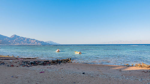 Scenic view of sea against clear sky