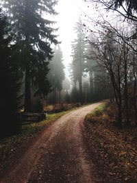 Road amidst trees against sky