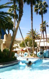 Palm trees in swimming pool