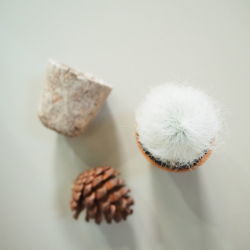 Close-up of plant on white table