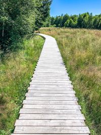 Empty footpath amidst field