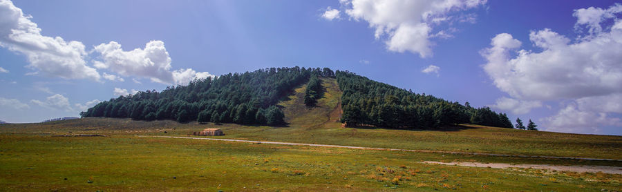 Panoramic shot of road amidst field against sky