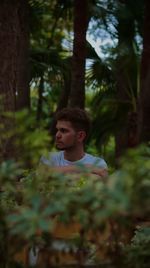 Portrait of boy standing against trees