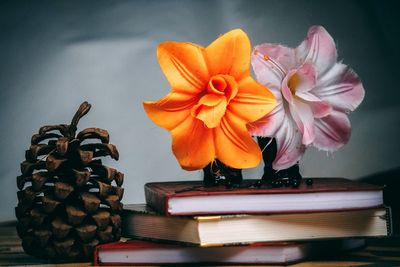 Close-up of red flower on table