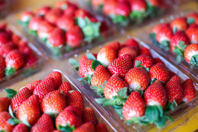 High angle view of strawberries in container