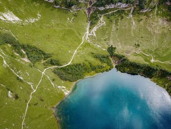 Aerial view of green landscape