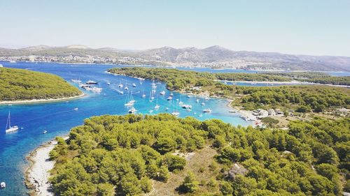 High angle view of trees and sea against clear sky