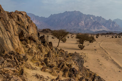 Scenic view of desert landscape against sky