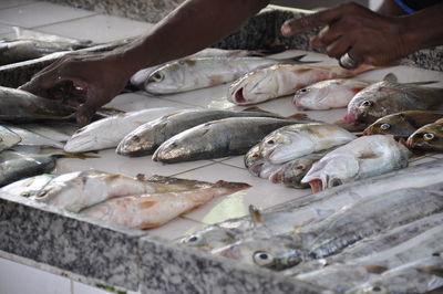 Midsection of fish for sale at market stall