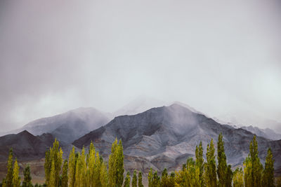 Trees and mountains against sky