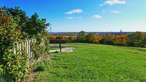 Trees growing on field against sky during autumn