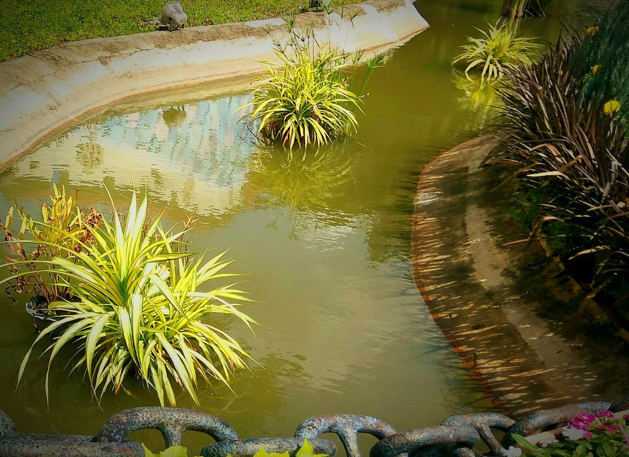 water, reflection, nature, no people, high angle view, plant, lake, growth, outdoors, day, beauty in nature, grass