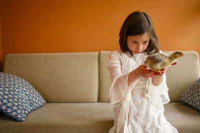 A curious little girl closely observes a baby chick in her hands