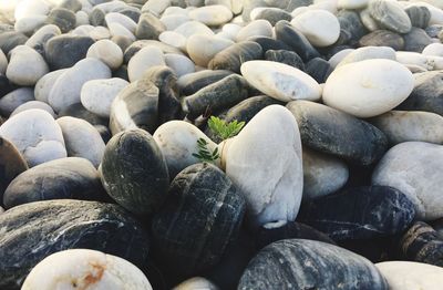 Full frame shot of pebbles