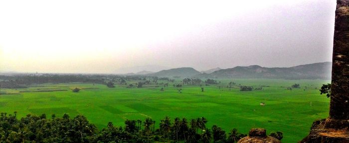 Scenic view of grassy field against sky