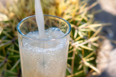 Close-up of drink in glass on field