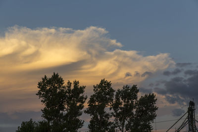 Low angle view of silhouette trees against sky during sunset