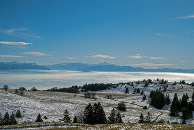 Scenic view of field against sky during winter