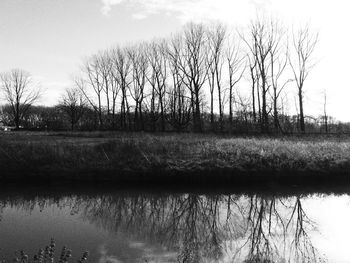 Silhouette bare trees by lake against sky