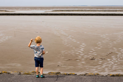 Rear view of boy on beach