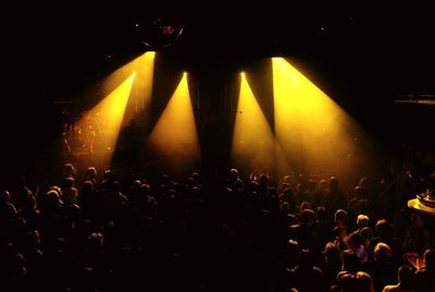 Crowd at music concert