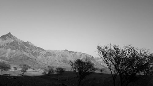 Bare trees on landscape against clear sky