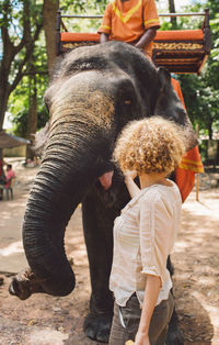 Woman touching elephant in forest