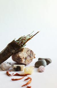 Close-up of cake on table against white background