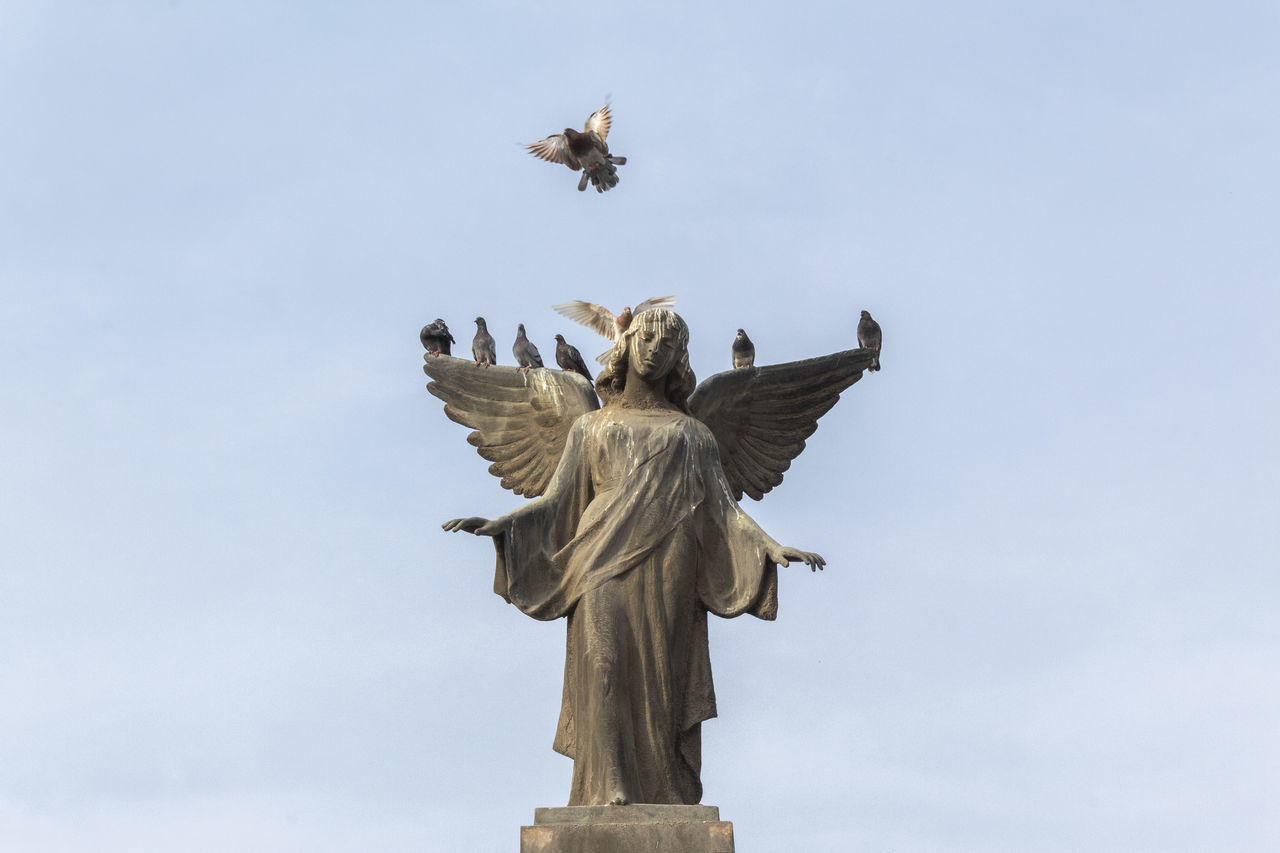 sky, low angle view, vertebrate, bird, animal wildlife, animals in the wild, sculpture, statue, art and craft, flying, nature, day, no people, group of animals, representation, spread wings, human representation, cloud - sky, angel