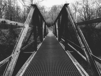 Walkway along bare trees