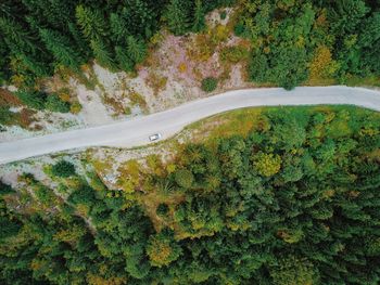 High angle view of road amidst trees in forest