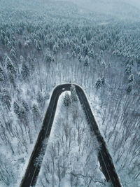 Aerial view of road amidst trees in forest during winter