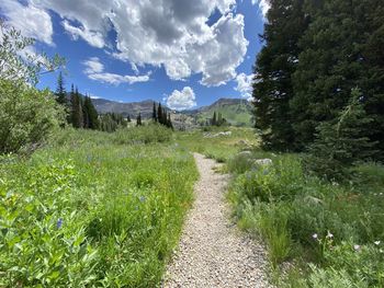 Panoramic view of landscape against sky