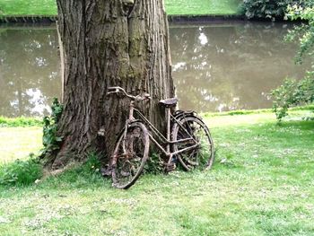 Bicycle on tree trunk in field