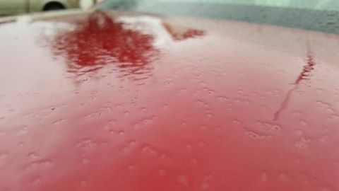Close-up of red object