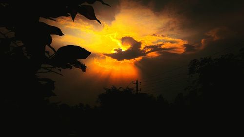 Silhouette trees against orange sky