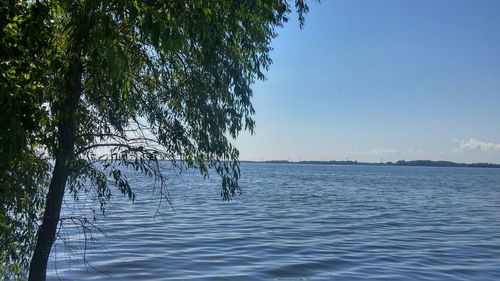 Scenic view of calm sea