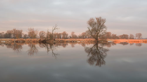 Reflection of trees in lake against sky