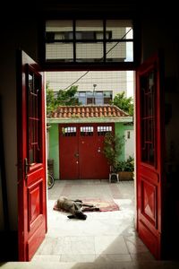 Dog relaxing at doorway