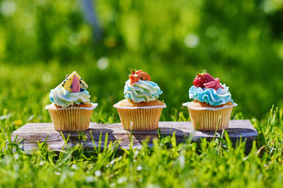 Close-up of cupcakes on field