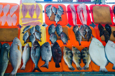 View of fish for sale in market stall