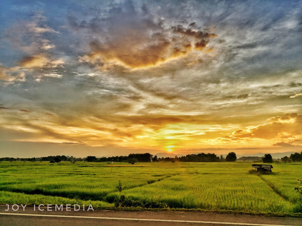 sunset, field, landscape, agriculture, farm, nature, beauty in nature, scenics, sky, cloud - sky, tranquility, no people, rural scene, grass, outdoors, animal themes, day