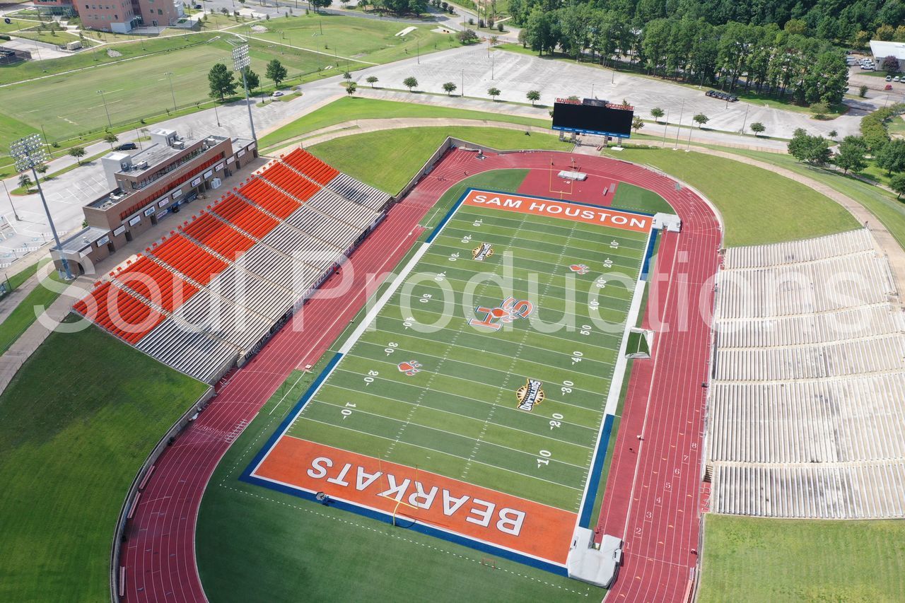 HIGH ANGLE VIEW OF PEOPLE ON FIELD AGAINST TREES