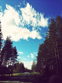 Low angle view of trees against sky