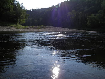 River flowing amidst trees in forest against sky