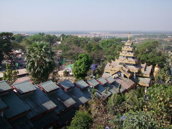 High angle view of trees